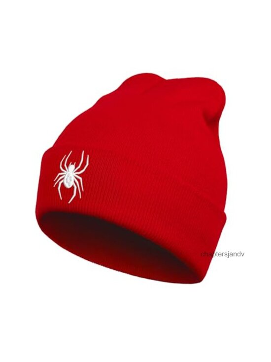 Accessories - Spider Web Embroidered Beanie Hat Acrylic Knit Winter Cap